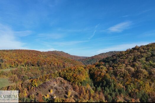 4YnMVI8reoiacTYbiTgR1i 1