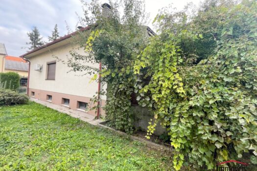 4fjH8fJ8ovLE5QmVZATMww