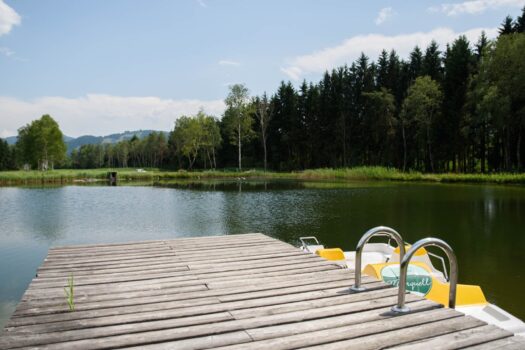 4hIg01n2hsLRXHyOCPTqia