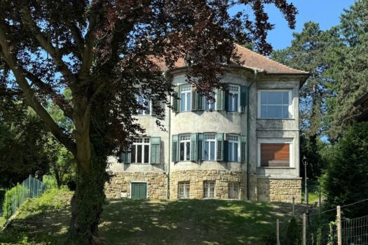 4vkDdMuu172sy1ML3OuVBo