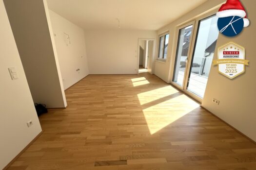 Wohnküche, Parkett, 28,5 m²