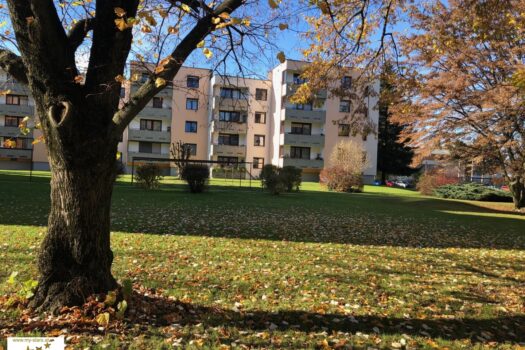 52MPxcqOQkoj7aeoHjQ4G1