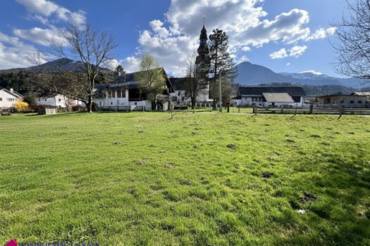 54Y2B7JxEwX5lojP4uiISD