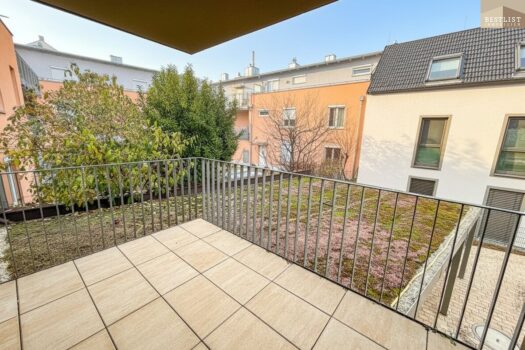 55U6E7BJrSfqdaWflSiPZn