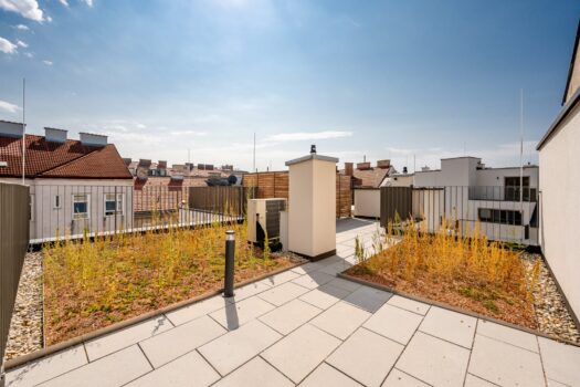 58tE4WMolo8d4cOouJwsWc