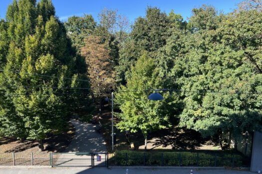 59rXAk1Hg2Q7nisJtJyqZt