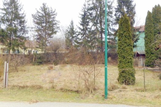 Strassenansicht gerodet