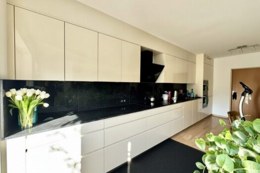 5Qv9XDv81fvrPq1Jba5kh6