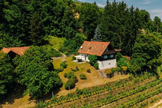 5SjsM9dU7EvNJ41XK7TjTv