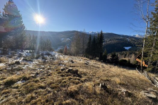 5iRLxdSTXc47ipPrDmAm55