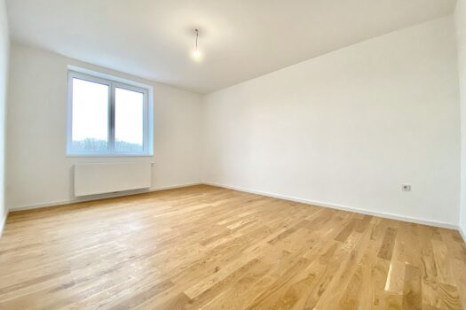 5llVpbslEQUvoeWHlqbOe5