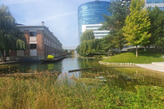 5ovjZ68wbkZIhxyWtOZeGi