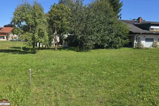 5qieDYR9uF7ghQUZK6Y62u