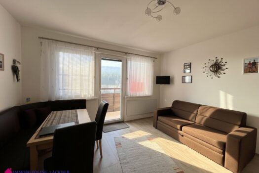 Ferienwohnsitz - Ihr Appartement in perfektem Zustand in herrlicher Lage von Bad Mitterndorf 6Ce037EL8sDMjOxp3LzopZ