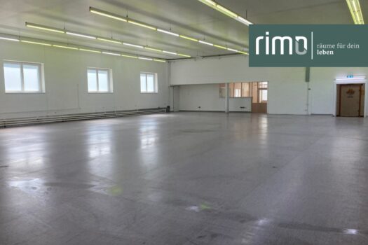 6T31QfpPINc7KlwrF6Q5Ul