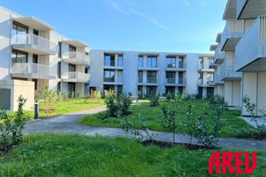 6YPVmvH6rJOJ55mobXbdfp