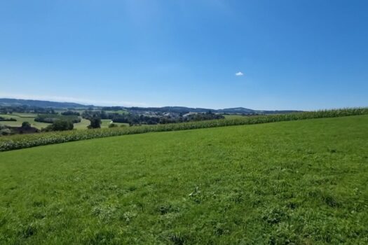 6ia7HS4LdebM0EQGA5BCTM