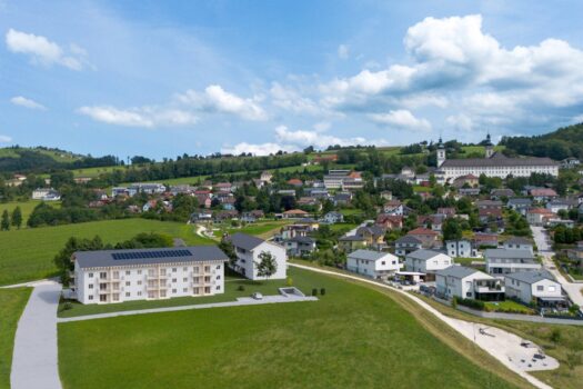 6oeDeYfid65EBI44DXzoYN