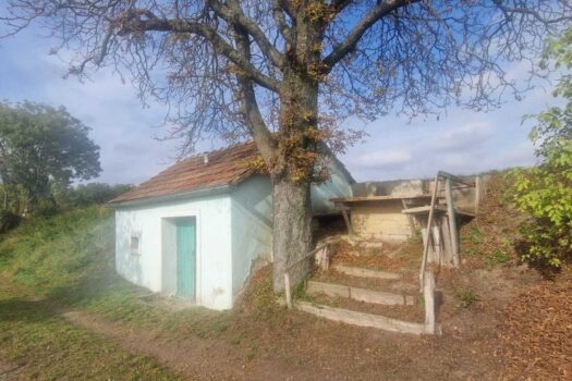 6qbk2D2wWsQJSUlJ11grwP