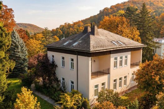 Historische Villa – Erstbezug nach Kernsanierung: Lifteinbau, Luftwärmepumpe, Wohnungen maßgeschneidert u. v. m. 6wGkrEhbWp1emf1WWruXwi