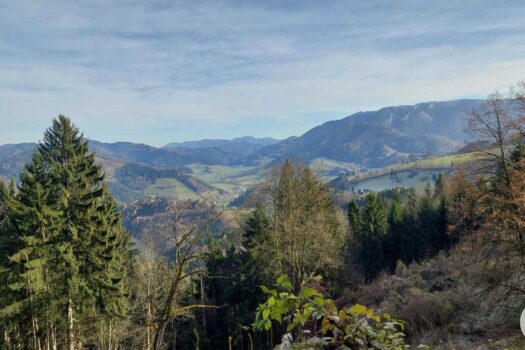 717HRw8vTQ3VzRMgMDTjYs