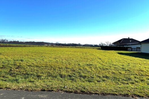 75HlMNvJC4Xz0tXPqW3TSm