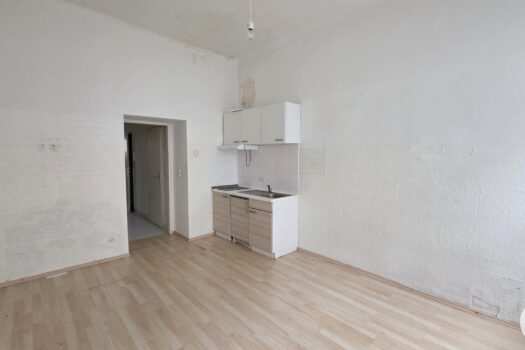 Sanierungsobjekt - 4 Wohnungen im Erdgeschoss - 550m zur U1 - Kurzzeitvermietung erlaubt 7bPUNaNylsCB2jqxGpqZ9d