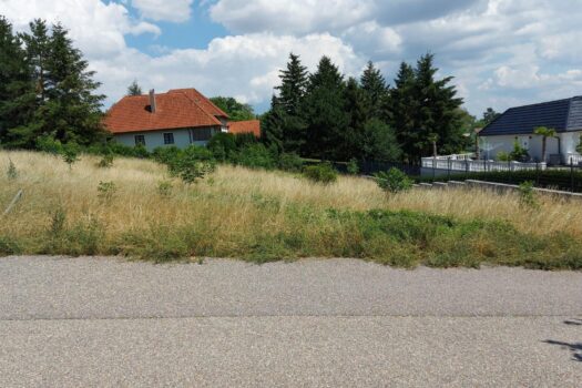 Straßenansicht  des Grundstücks