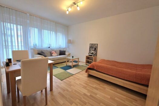 Teilsanierte Singlewohnung mit ruhigem Balkon! Wohn- und Schlafzimmer