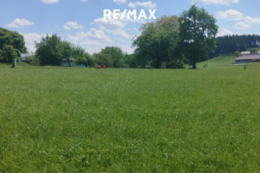 7uKl5YeBtFSdVJ34IRihTs