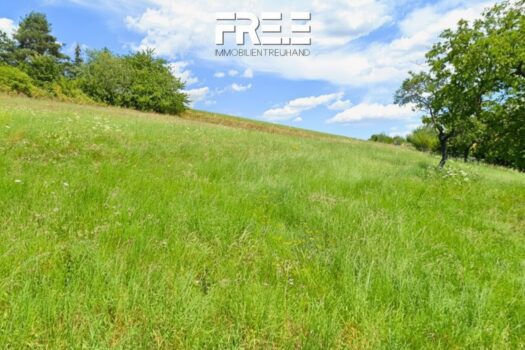 GRUNDSTÜCK IN GRÜNLAGE | Hanggrundstück mit traumhaftem Weitblick 1