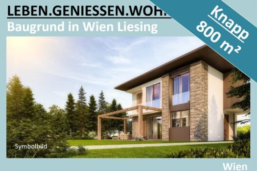 C9XSPKexvmO28jQv2q2rD