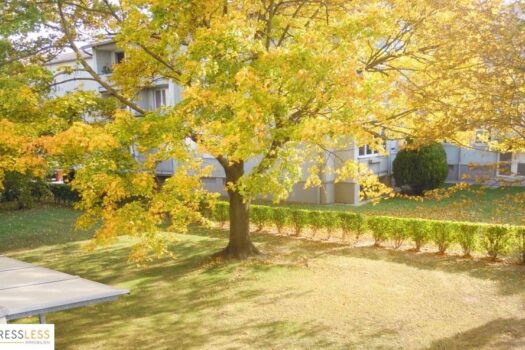 10 Minuten vor Wien! Gepflegte 3 Zimmer Wohnung mit Loggia in Grünruhelage! Miete oder Kauf! CQ0w ZM2my