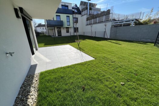 EbB83YN1PijUaXYWm4Grr