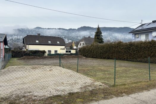 Ez91jP4ufkGOjnHVuKeUP