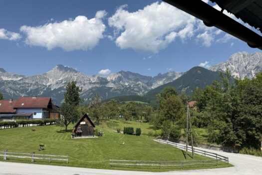 FjV6taXhjqCXDLwOrSwHC