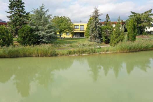 GJRTowr92fR4ZE8VvHwqd