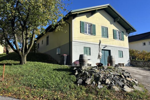 NC2Mn4egX6XrtXFOGyJwA