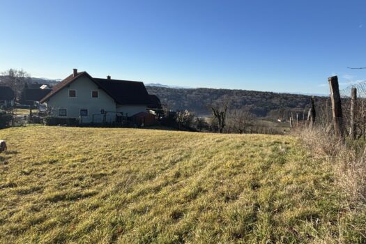 V5rxLgPzd3gPUqIItDYMo