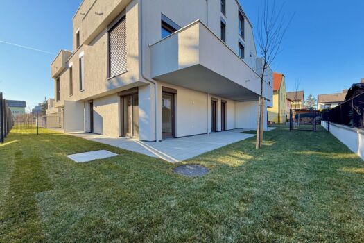 VPMwd8NMb5gdA6E0ZcLTy