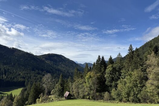 XdbHklQ84OiHB2pIlJFwV