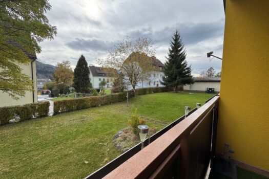 ZavgFUBUI9D9kcC7wi6xi