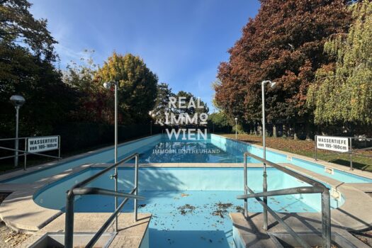 ahmBWcJWNMN8hyTlVWsk7