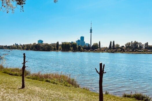 pN3NbyrGun1FpYoKEDpY0