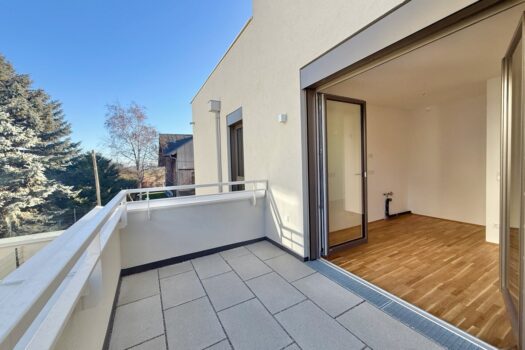 wki36Capp1QvAleg2lyqs