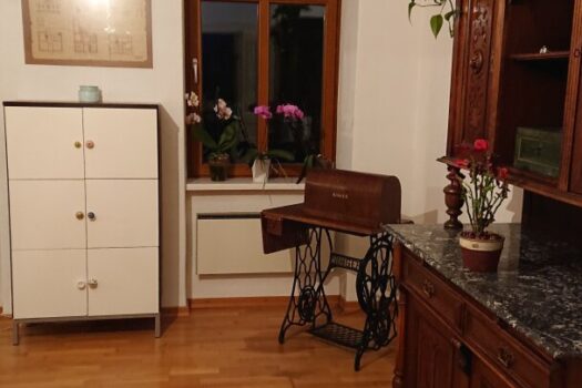 y240EtFqYhJMXOfNyzr3k