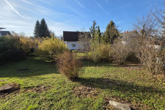 zpTlKtdpf2SLsL1sZCXWT