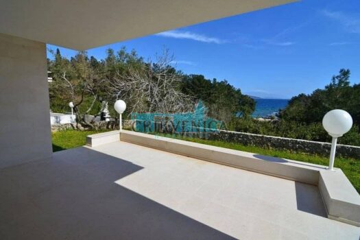 1550497755 ezgif 2 400eb15c6b38