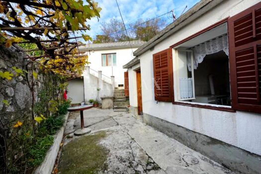 1669645674 grizane starina 7