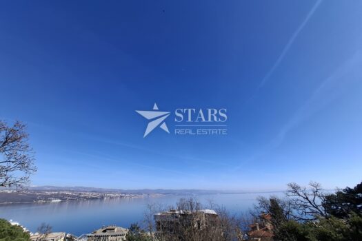 1741358457 20250305 135127